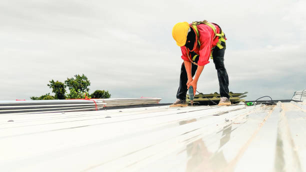 Best Gutter Replacement  in Aliquip, PA