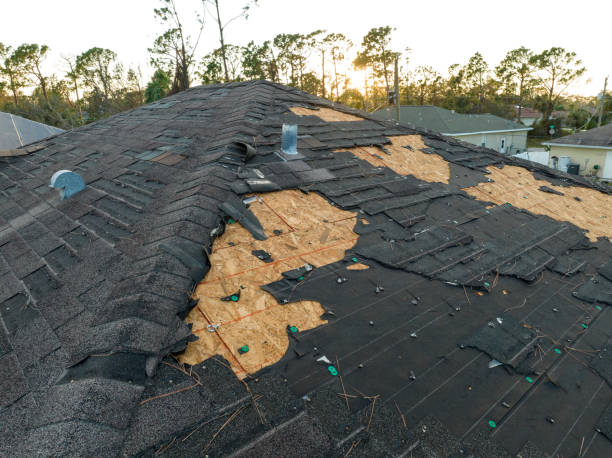Best Roof Insulation Installation  in Aliquip, PA